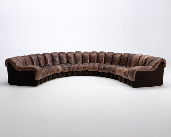 A brown leather de sede ds600 modular sofa with a snake-like shape, featuring a zipper and plug-in hinge mechanism.
