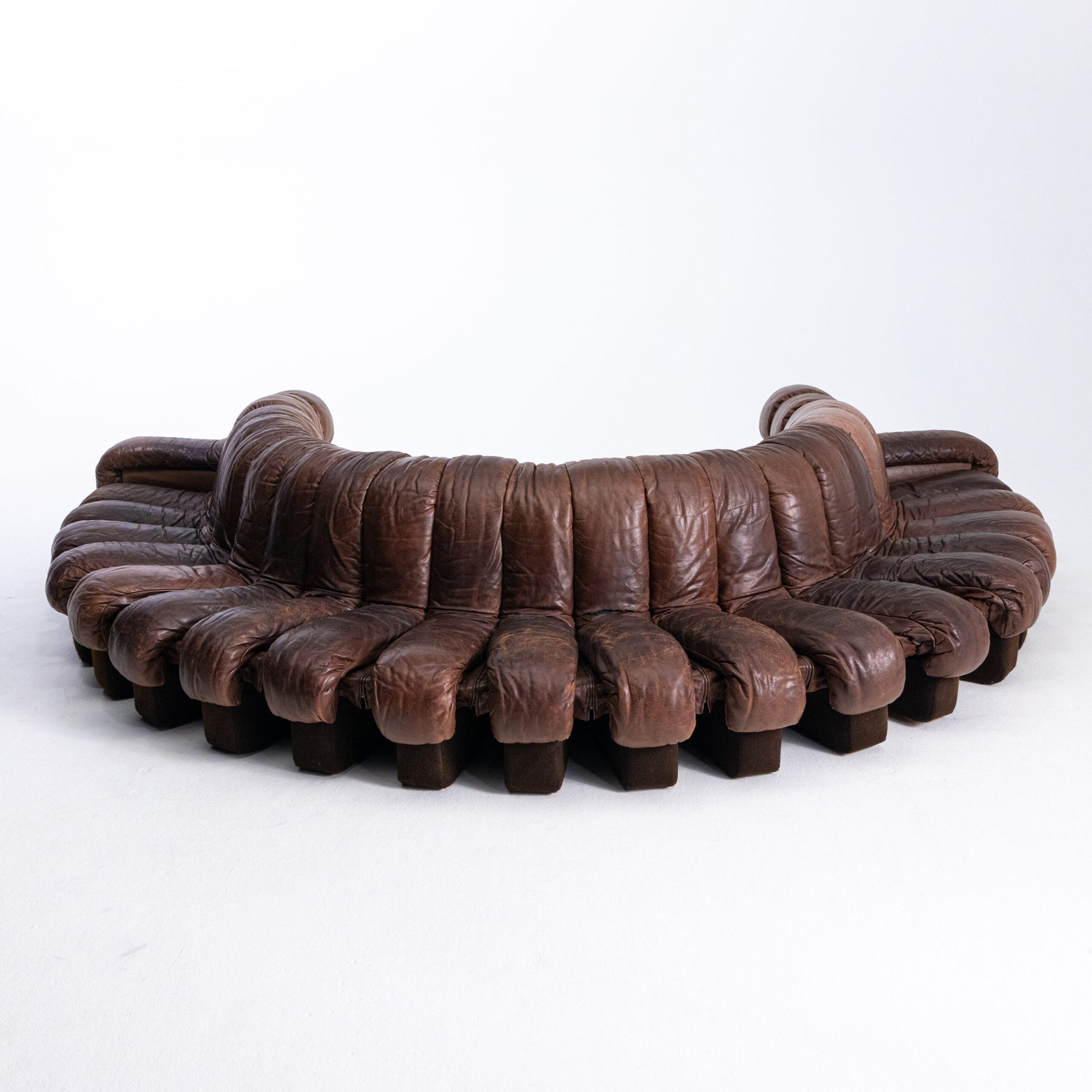 Brown Leather 1970s DS-600 Snake Modular Sofa by De Sede