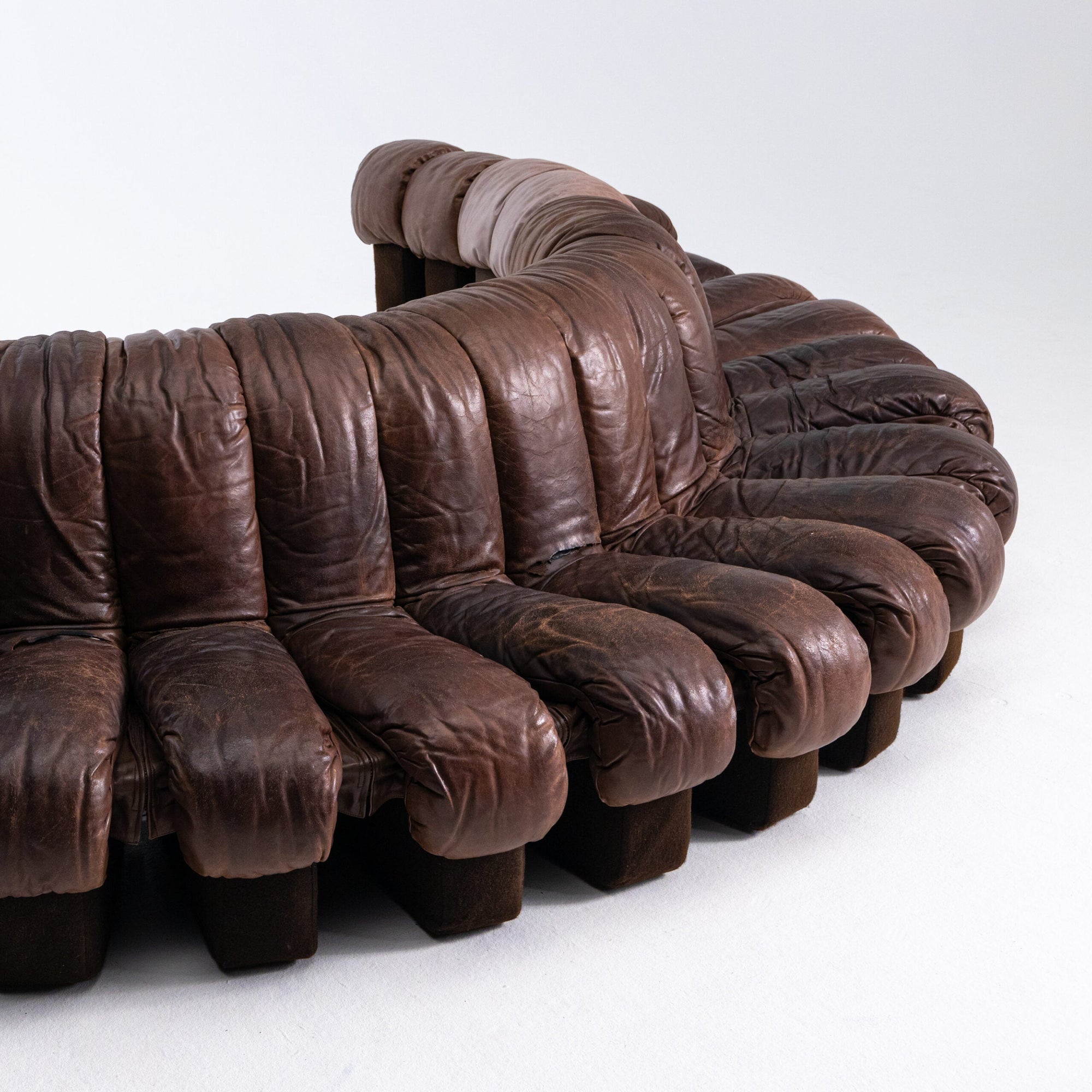 Brown Leather 1970s DS-600 Snake Modular Sofa by De Sede