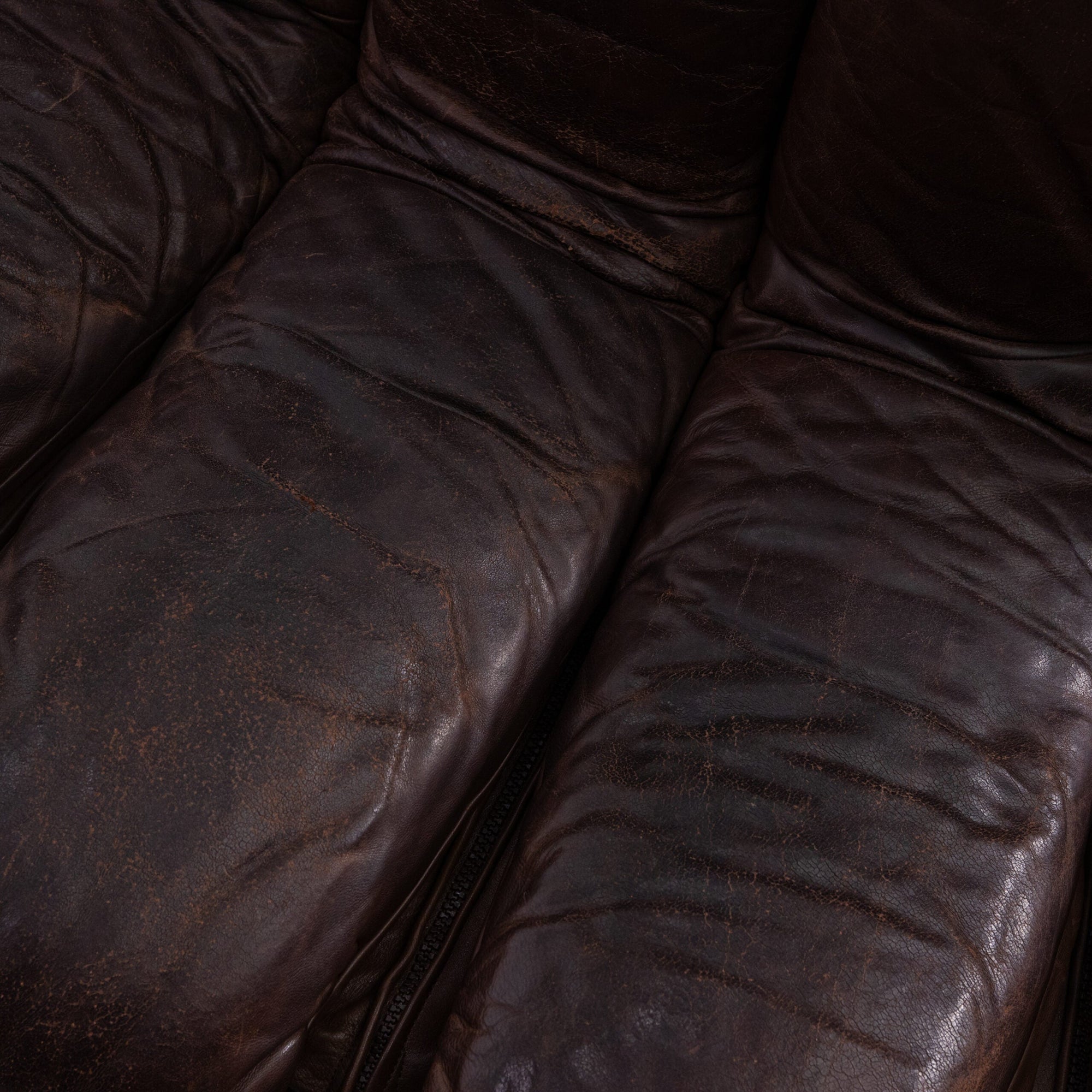 Brown Leather 1970s DS-600 Snake Modular Sofa by De Sede